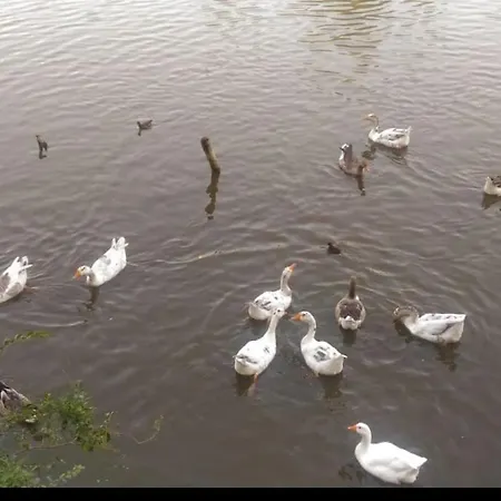 View - Tirana, Albania