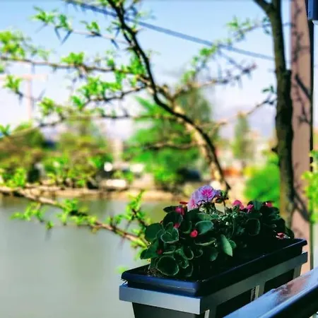 View - Tirana, Albania Selitë e Vogël