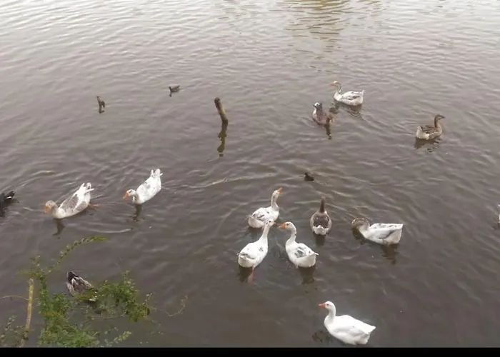 View - Tirana, Albania