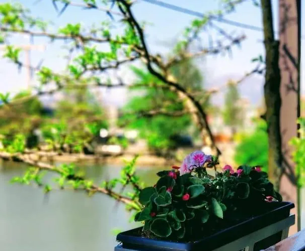 View - Tirana, Albania Selitë e Vogël