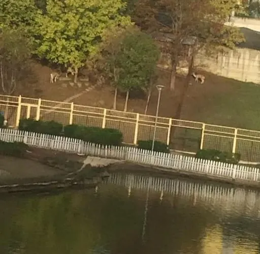 View - Tirana, Albania Selita e Vogel