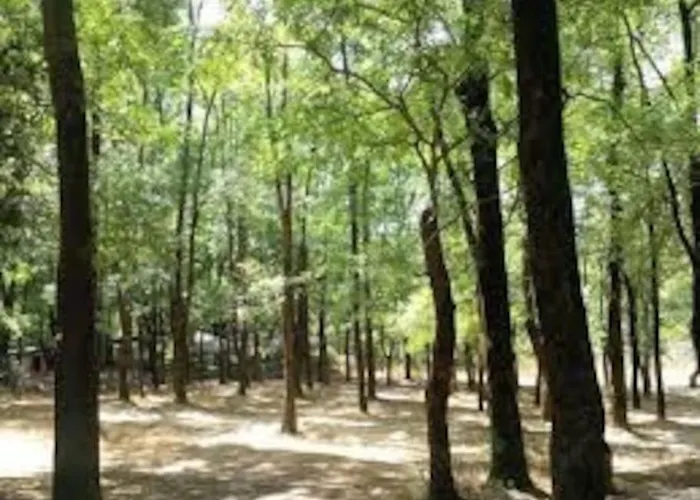 View - Tirana, Albania *